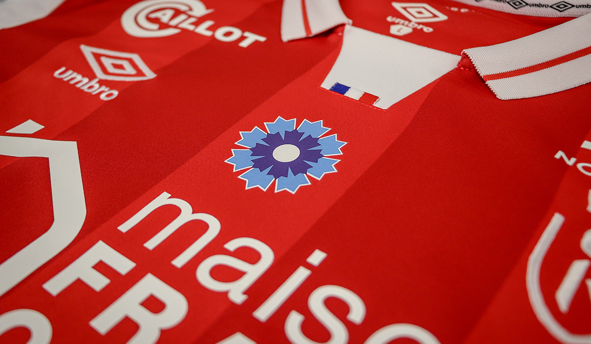 Bleuet de France